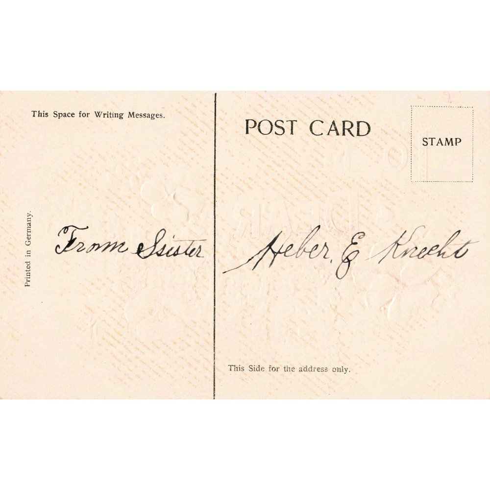 To My Dear Brother Antique Embossed Postcard Pansies Holly Floral Greeting c1910 - Picture 2 of 2